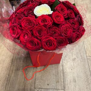 Simple red rose and avalanche