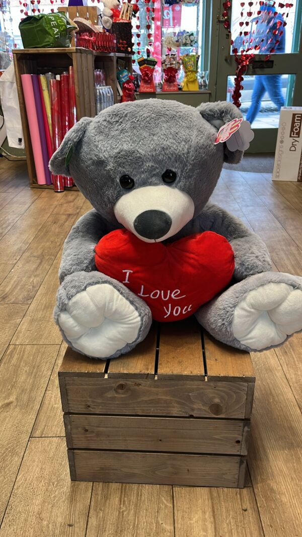 Ex large cuddly cute teddy